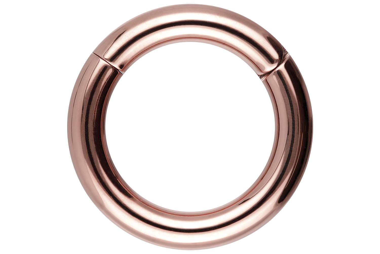 Chirurgenstahl Segmentring Clicker Piercing